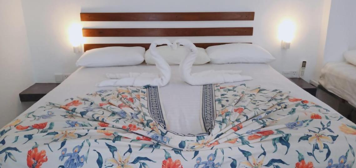 Petit Guest House Negombo Ngoại thất bức ảnh