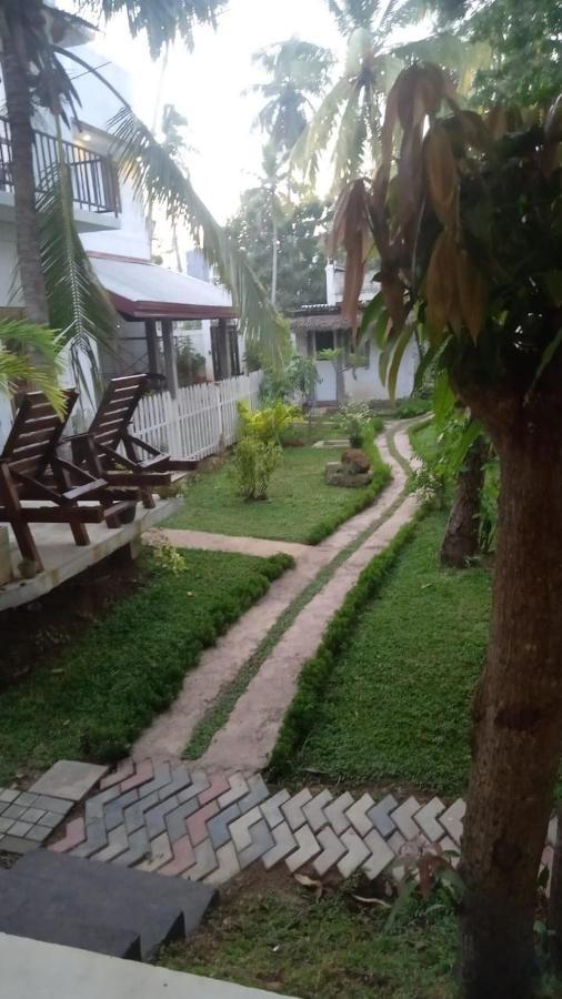 Petit Guest House Negombo Ngoại thất bức ảnh